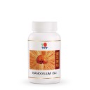 Γανόδερμα GL