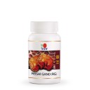 Γανόδερμα RG 